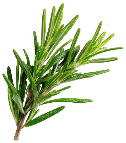 image67